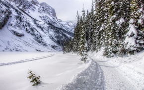 winter, mountain, road, snow, forest