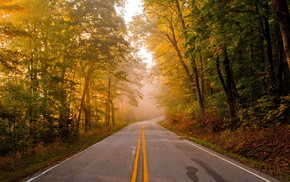 landscape, autumn, nature, road