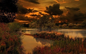 lake, forest, nature