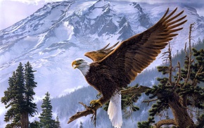 eagle, mountain, art, animals, tree