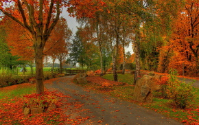 autumn, trees, runway, park