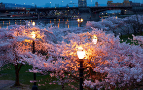 river, night, evening, spring, city