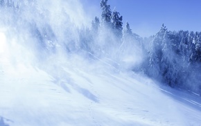 winter, trees, mountain