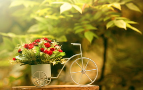 bicycle, background, flowers, roses