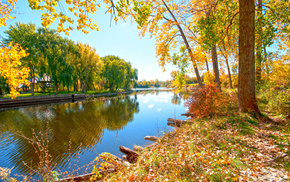 autumn, Sun, greenery, river, trees