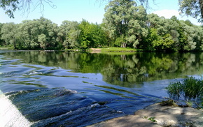nature, trees, river, summer