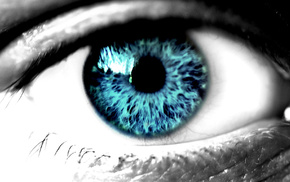 macro