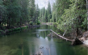 water, trees, river, nature