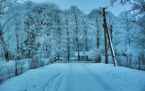road, trees, snow, winter