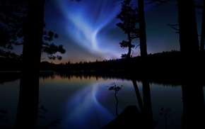 forest, trees, nature, lake