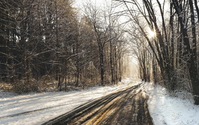 forest, winter, road