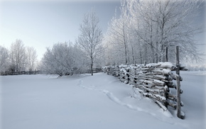 fence, nature, snow, winter