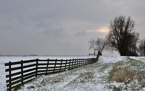 winter, sky, field, trees, fence