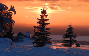 snow, sunset, Christmas tree, winter