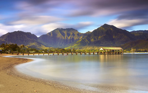 nature, palm trees, beach, pier, mountain