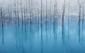 nature, ice, forest, winter