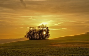 nature, sunset, landscape, field