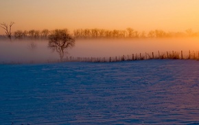 winter, mist, landscape, nature
