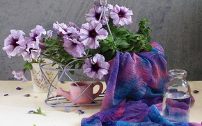 stunner, flowers