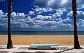 sea, sand, palm trees, nature, bench