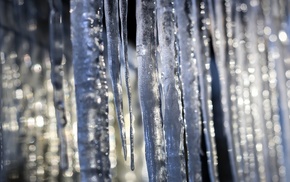 macro, ice, winter