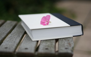 macro, flower, book