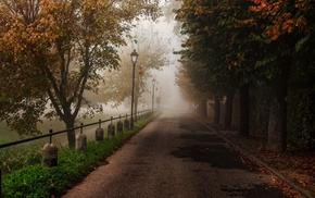 autumn, road, nature, park