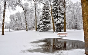 landscape, park, winter