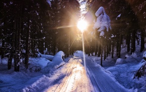 road, winter, nature, forest