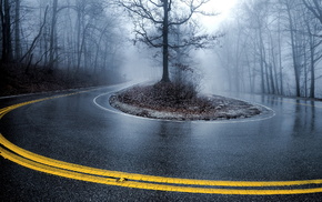 mist, road, landscape, nature