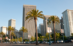 palm trees, USA, cities, sky, America