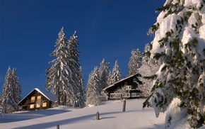 trees, mountain, snow, houses, nature