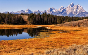 landscape, nature, mountain, field