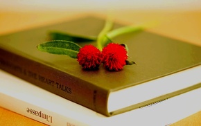 flowers, macro, books, book, petals