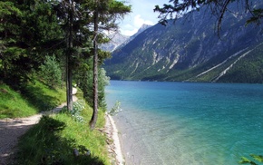 nature, water, lake, trees