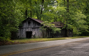 house, trees, stunner, road