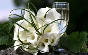 wineglass, white, flowers, color, green