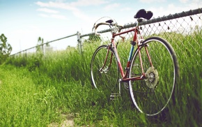 nature, fence, bicycle, grass