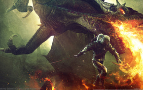 dragon, video games