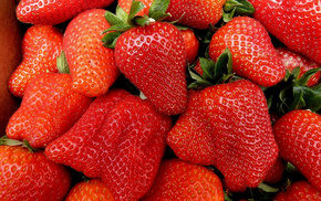 strawberry, delicious