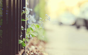 motion blur, flowers, fence
