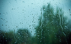 rain, macro, drops