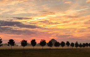 sky, trees, mist, nature