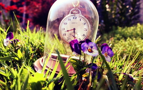 stunner, summer, clocks, grass