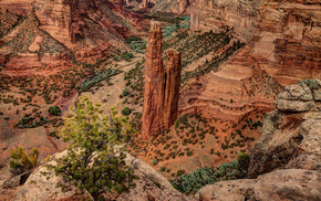 nature, canyon, USA, rocks, bushes