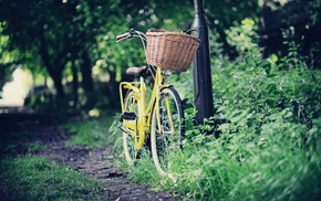 bicycle, road, stunner, park