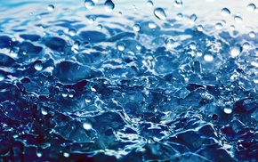 drops, macro, rain, water