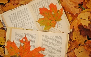 leaves, stunner, photo, autumn, books