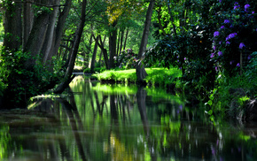 HDR, nature