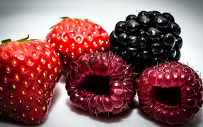 berries, strawberry, delicious, macro
